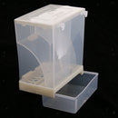Automatic Poultry Feeder for Bird, Plastic Food Container for Parrot Pigeon
