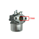 Carburetor for Briggs &Stratton 798653 697354 790290 791077 698860 M2T9