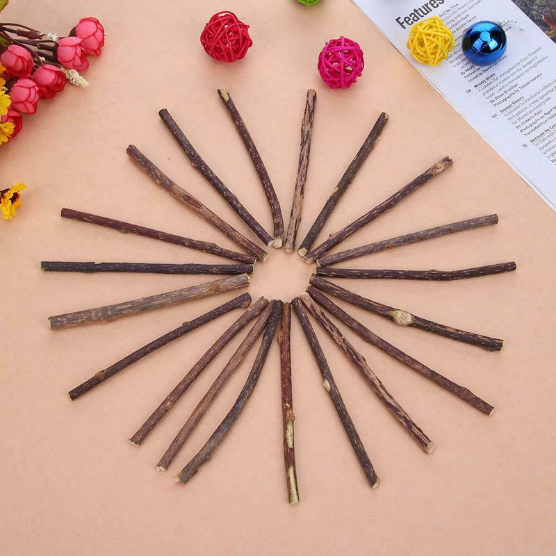 20pcs Natural Fruit Matatabi Cat Snacks Sticks Catnip Pet Cat Molar Rod A