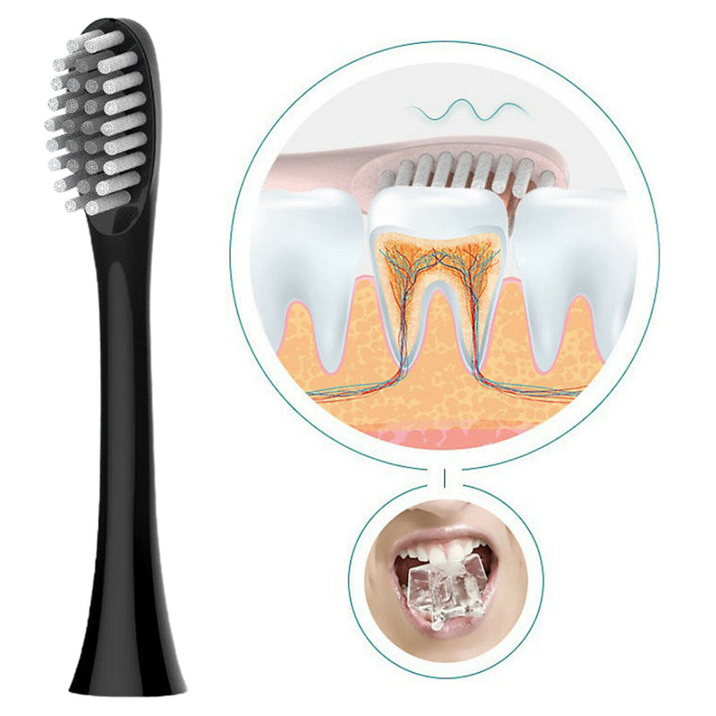 Premium Universal Sonic Toothbrush Heads for X-3 Electric Toothbrushes Black