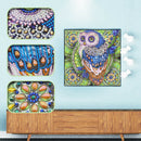 5D DIY Special Shaped Diamond Painting Owl Cross Stitch Mosaic Kit (R112)