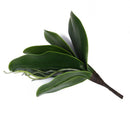 10pcs Green Artificial Butterfly Orchid Leaf Bush Simulation Grass Home Decor