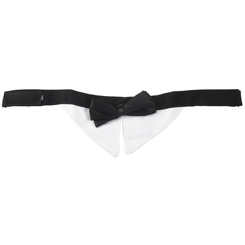 Tie Bow Tie Adjustable Collar for Pet Dog Cat Grooming XL
