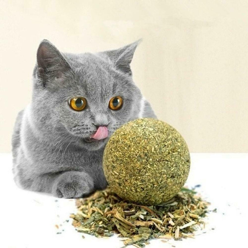 Cat Snack Catnip Ball Lick Solid Nutrition Ball Molar Cleaning Cat Snacks