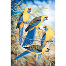 5D DIY Full Drill Diamond Painting Birds Singer Cross Stitch Embroidery Kit