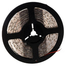 5M Waterproof 300 LED 3528 SMD Flexible LED Light Lamp Strip 12V (Blue) F8P8