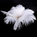 20 x natural ostrich feather 25-30cm white decoration festivities Y3Q7