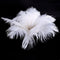 20 x natural ostrich feather 25-30cm white decoration festivities Y3Q7