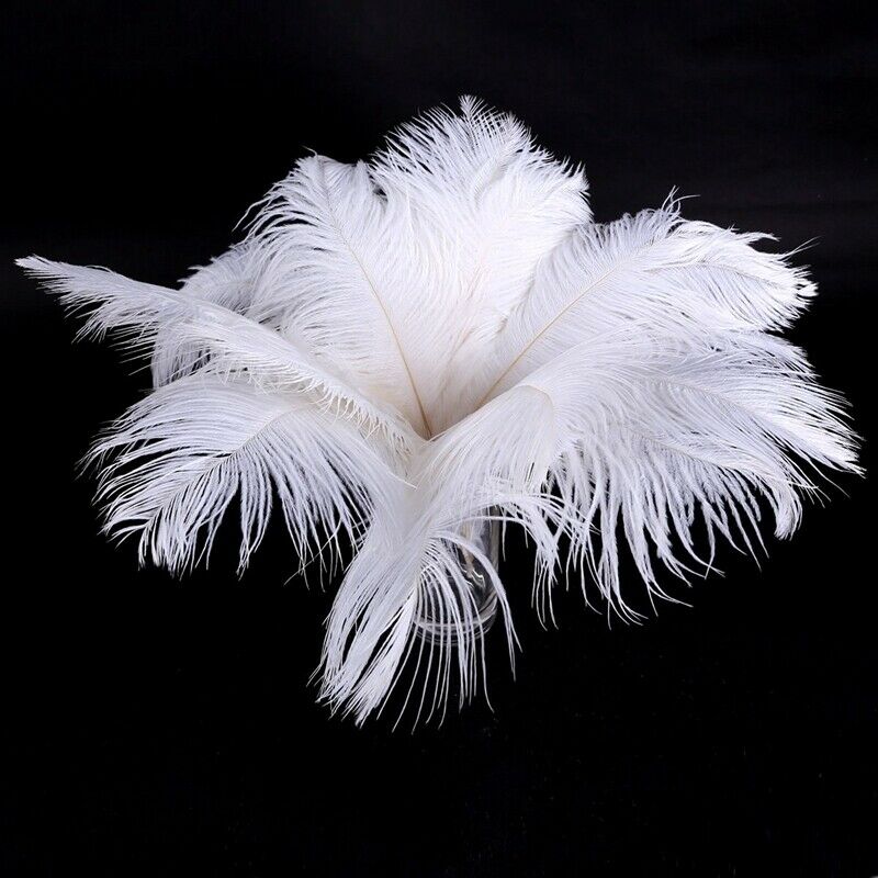 20 x natural ostrich feather 25-30cm white decoration festivities Y3Q7