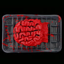 Realistic Bloody Brain Meal Box Haunted House Halloween Decorations