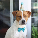 2Pcs Shiny Dog Cat Birthday Hat Party Costume Headwear Accessory For Puppy Pet