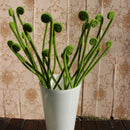 Artificial Green Vine Rolls Stems Branches Simulation Bouquet Accessories