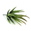Artificial Succulents Craft Floristry Decoration Plastic Plants Aloe Simula F5L6