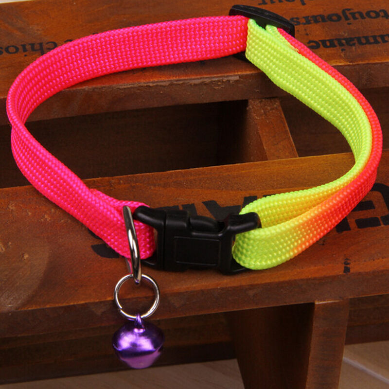 Lovely Pet Rope Leash Slip Lead Neck Strap Collar for Dog Cat Puppy 1 Pcs LJ