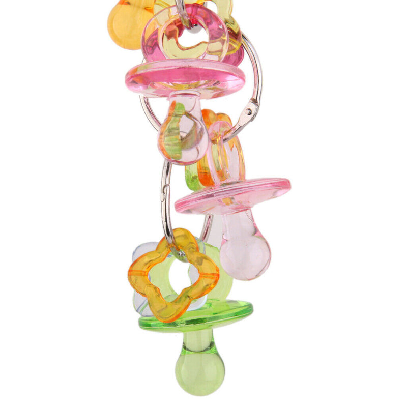 Acrylic Colorful Pet Parrots Chinchilla Parakeet