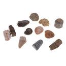 Pristine Natural Stones Reiki Rocks Ornament for Bonsai Fish Tank, Set of 12