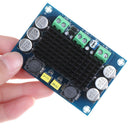 TPA3116 D2 12V 24V 100W Mono Channel Digital Power Audio Amplifier Boa- 3C