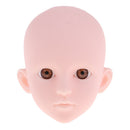 1/4 BJD Safety Eyes 14mm Acrylic Eyeballs for PB Dollfie DOD Custom DIY