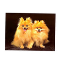 DIY 5D Diamond Painting Kit Dog Embroidery Cross Crafts Stitch Home Decor