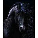 Diy Diamond Painting Black Horse Handicraft Sewing Art Embroidery Rhineston H8L2
