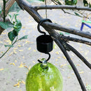 Hummingbird Feeder Ant Moat with Cleaning Brushes Nectar Protector Keep Ants Out