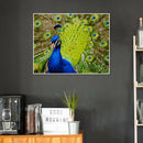 DIY Digital Painting By Numbers Peacock Frameless Canvas Picture Home Decor