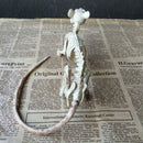 Nice Skeleton Rat PP+PVC Animal Skeleton Bones for Horror Halloween Decorat O3A7