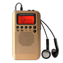 Mini Lcd Digital FM/AM Radio Speaker With Alarm Clock And Time Display Func