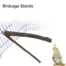 Pet Parrot Bird Standing Stick Birdcage Stand Pole Perch Bite Claw Grinding T_
