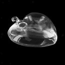 Hanging Glass Flowers Plant Vase Terrarium Container Home Garden Decor Heart