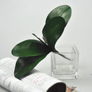 Artificial Green Rose Leaves/Butterfly Orchid  Silk Leaf Beauty Plant Decor 3C