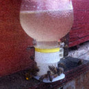 New Bee Drinking Fountain Bee Insects Queen Bee Water C5J5 Equipment Feedin F6T6