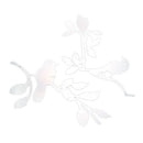 Mirror Wall Art "Birds Standing on the Tree Branch" Wall Stickers Removable M5Q1