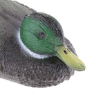2x Lifesize Swan&Duck Decoy Pond Decoration Plastic Floating Ornamental Bird