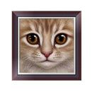 DIY 5D Diamond Embroidery Mosaic Cat Face Painting Cross Stitch Home Decor