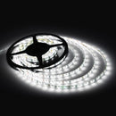 White 5M Waterproof 300LEDs 3528 Flexible Led Strip Lights 12V 1 Roll Super 3C