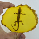 Yellow Amber Gecko Amber Ornaments For Real Insect Specimens