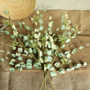 Natural Dried Flowers Artificial Flower Dried Eucalyptus Leaf Home decoratio Hn