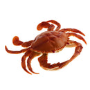 Artificial Lifelike , Decoration For Kitchen Fishing Accessories