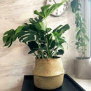 20cm Seagrass Wicker Basket Foldable Plant Pot Nursery Laundry Storage Bag Z7W3