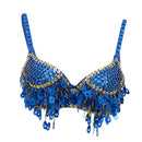 Women Belly Dance Costume Top Bra Sequin Tassel Samba Dancing Costumes Blue