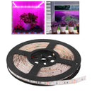 Grow Light Strip Small Plant Area Greenhouse Home Plant Flower Tape Light