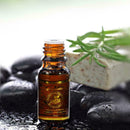 30ml Ginger Oil Body Massage Thermal Essential for Scrape Therapy SPA O8T5 E4J7