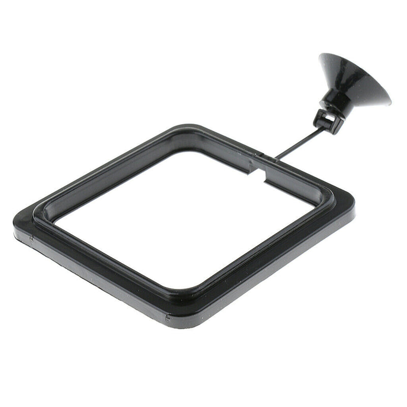 10x Aquarium Feeding Food Square Feeder With Suction Cup For Aquarium