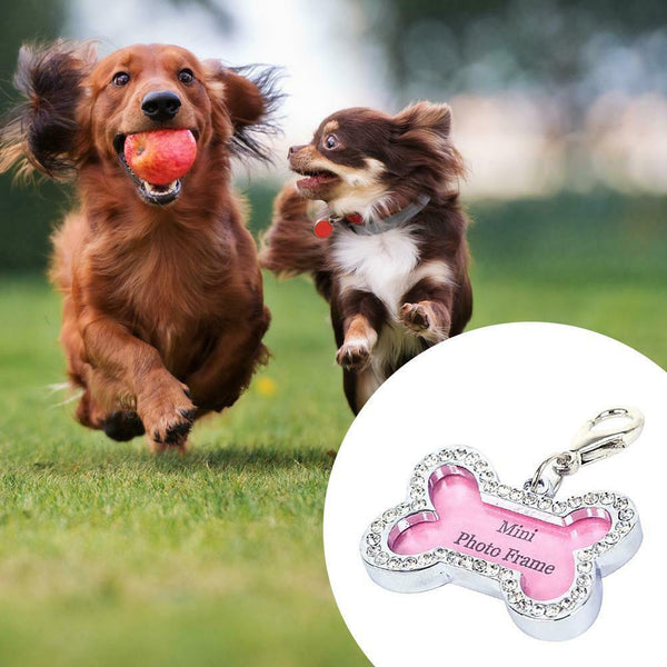 Pets ID Tag Name Address Pendants DIY Dog Puppy Anti-Lost Card (Bone Shape)