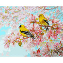 DIY Digital Oil Painting By Numbers Kit Two Birds on Branch Drawing Picture A