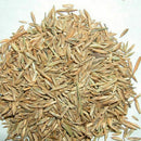 1000 stk/pack Rasensamen SunGrass Rasen Pro Grassamen I0O8 Saatg Rasen I8E9