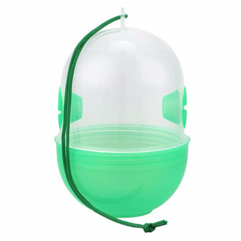 Harmless Fly Trap Wasp Catcher