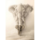Full Round Drill 5D DIY Diamond Painting Elephant Animal Embroidery (SM008)