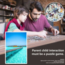 1000pcs DIY Turquoise River Puzzle Educational Learning Assembling Toys